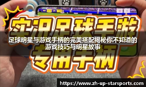  星空体育官方平台